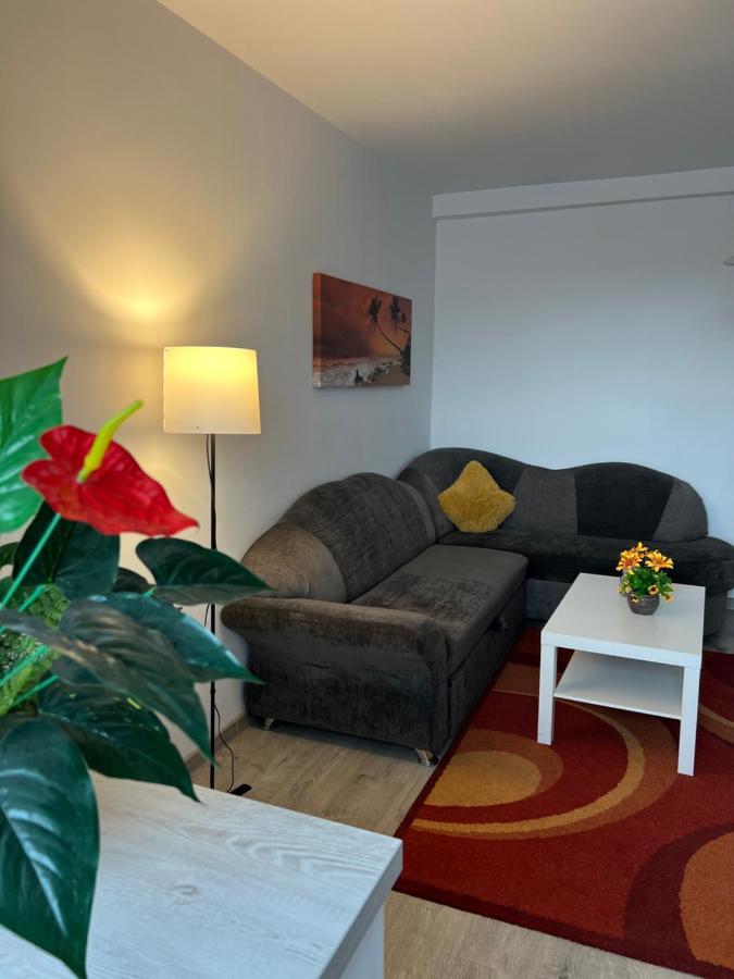 Apartmán House51 Brašov Exteriér fotografie