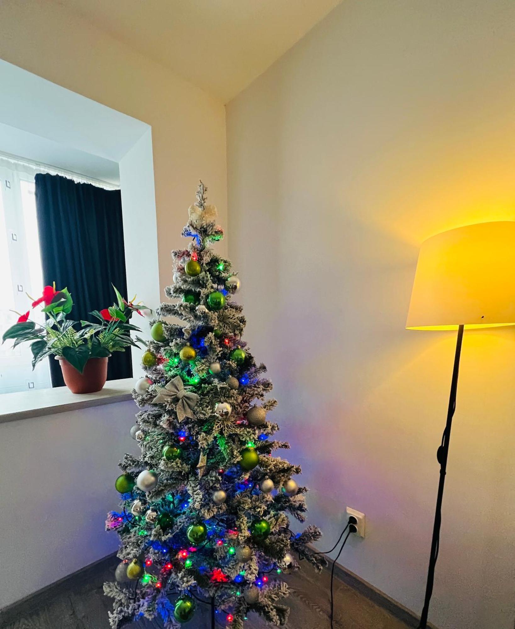Apartmán House51 Brašov Exteriér fotografie